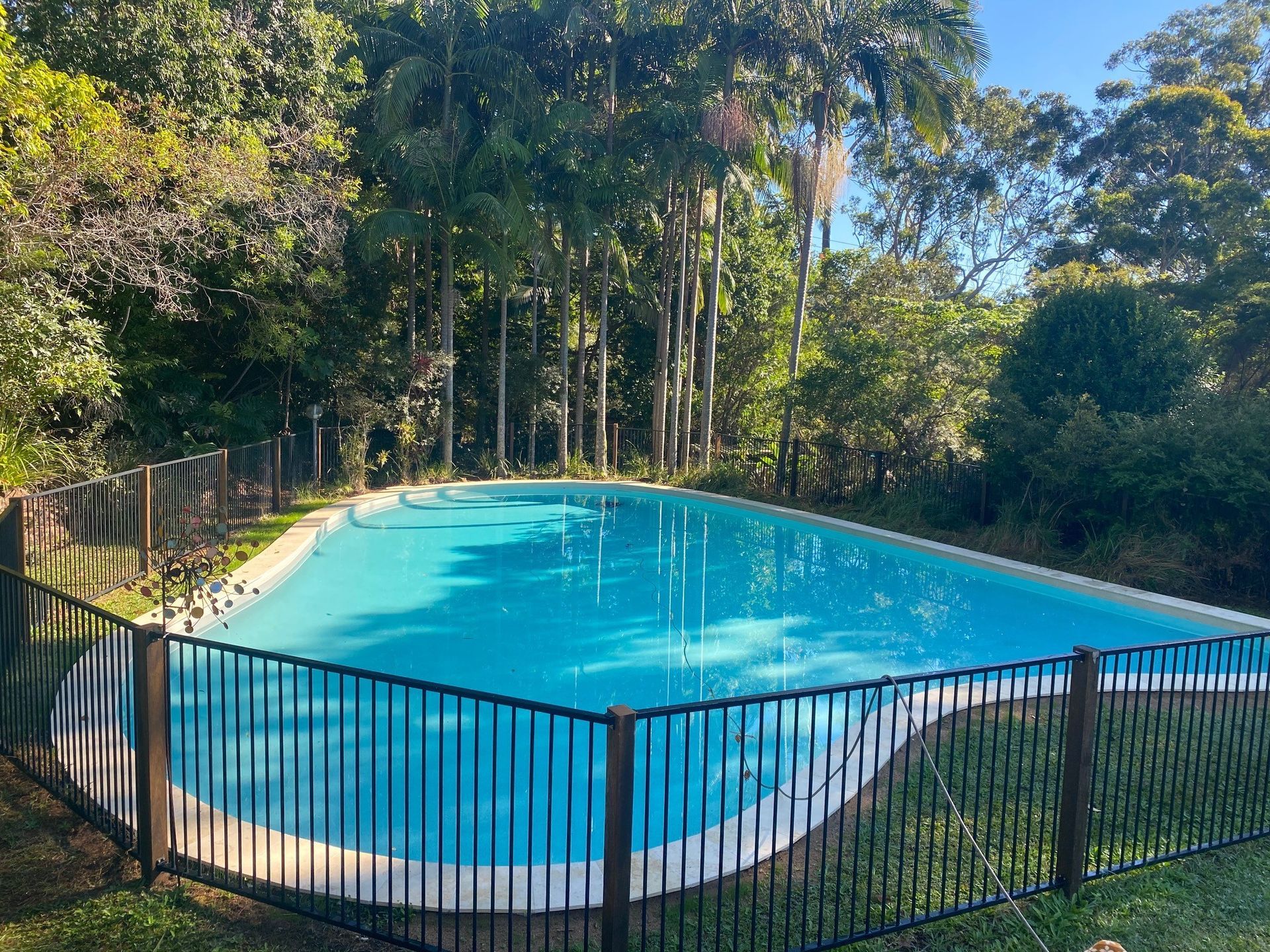 Swimming Pool Surrounded by a Black Fence — Mad Pool Interiors and Renovations in Baringa, QLD