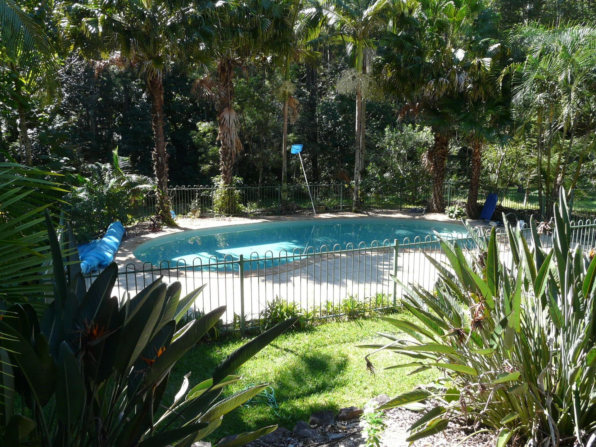 Pool Surrounded by Green Plants and Trees — Mad Pool Interiors and Renovations in Baringa, QLD
