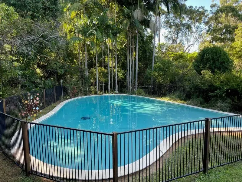 Backyard Swimming Pool With Blue Water, Surrounded — Mad Pool Interiors and Renovations in Baringa, QLD