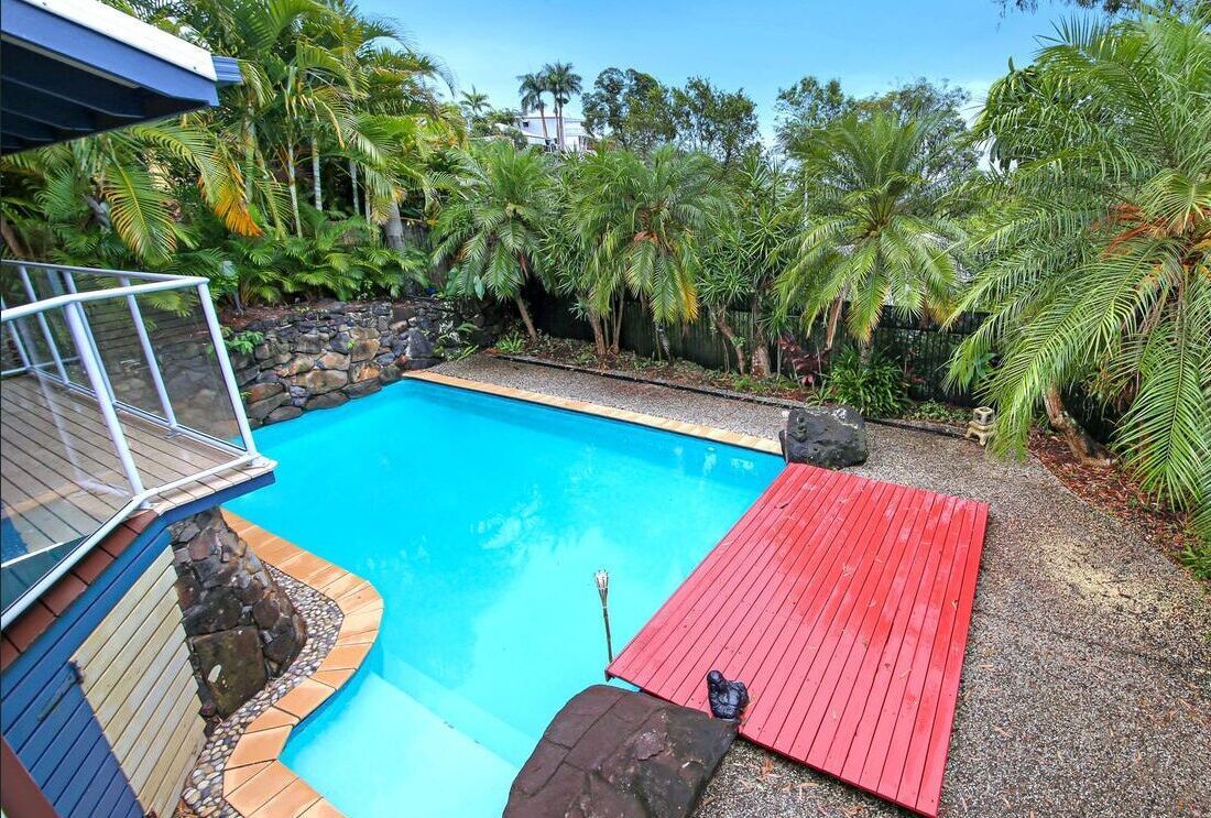 Swimming Pool Surrounded by Tropical Plants — Mad Pool Interiors and Renovations in Baringa, QLD