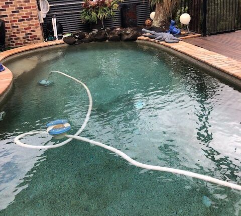 Pool Cleaner Hose in a Backyard Swimming Pool — Mad Pool Interiors and Renovations in Baringa, QLD