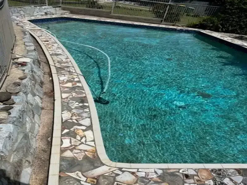 Curved Backyard Swimming Pool With Turquoise Water — Mad Pool Interiors and Renovations in Baringa, QLD