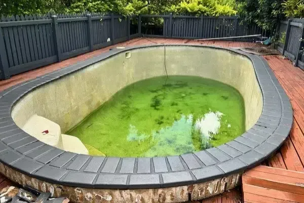 Empty Backyard Pool With Green Stagnant Water — Mad Pool Interiors and Renovations in Baringa, QLD