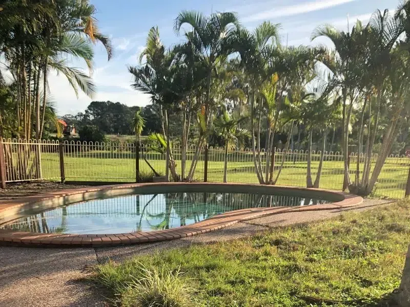 Backyard Pool Surrounded by Palm Trees and a Grassy Lawn — Mad Pool Interiors and Renovations in Baringa, QLD