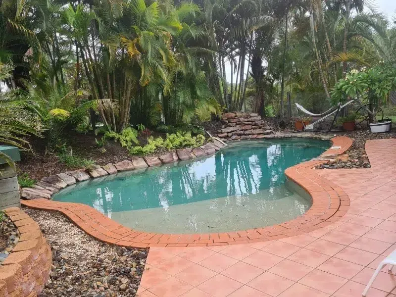 Curved Backyard Pool — Mad Pool Interiors and Renovations in Baringa, QLD