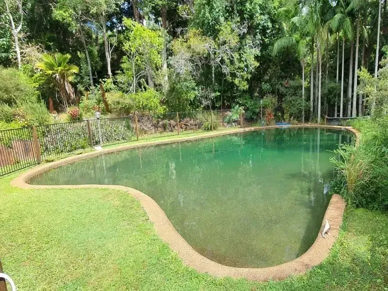 Small Green Pond With a Curved Concrete Edge, Surrounded — Mad Pool Interiors and Renovations in Baringa, QLD