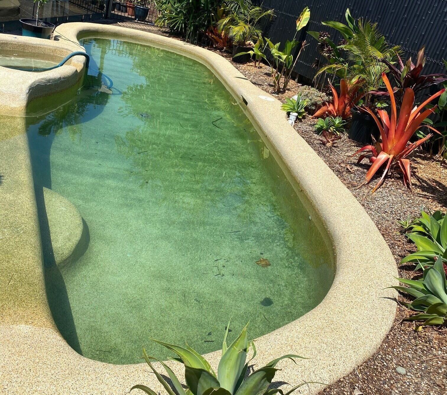 Curved Backyard Pool With Clear Green Water — Mad Pool Interiors and Renovations in Baringa, QLD