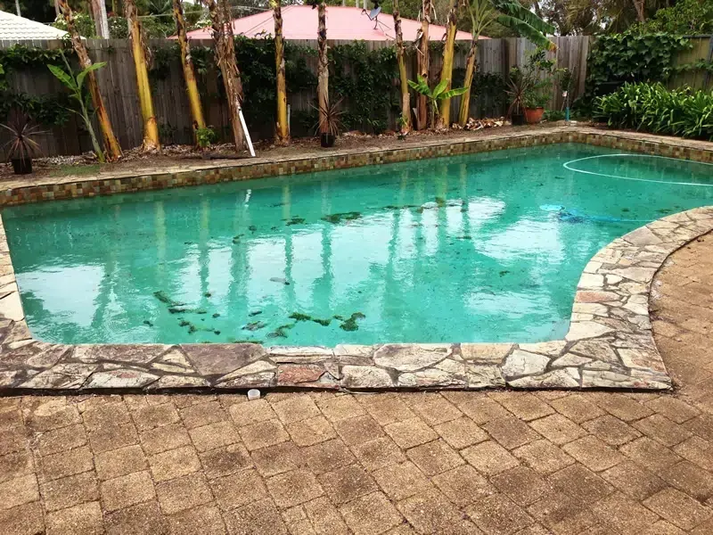Turquoise Backyard Swimming Pool With Stone Coping — Mad Pool Interiors and Renovations in Baringa, QLD