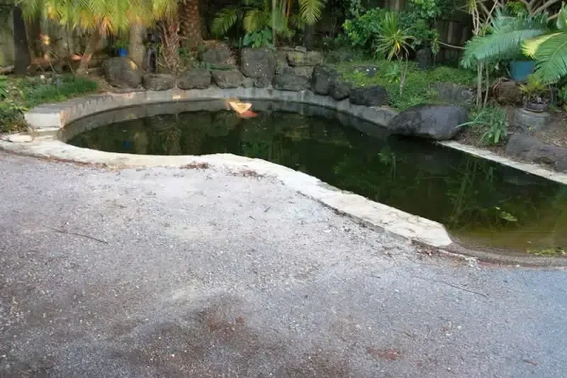 Shallow Stone-lined Pond Beside a Gravel Path — Mad Pool Interiors and Renovations in Baringa, QLD