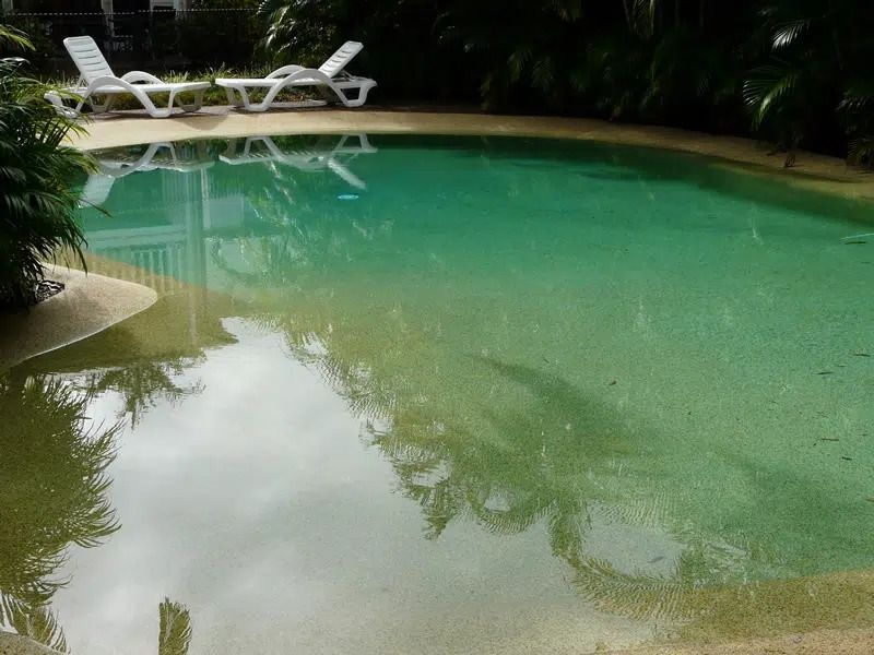 Tropical Pool With Green Water — Mad Pool Interiors and Renovations in Baringa, QLD