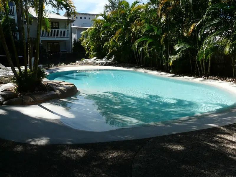 Tropical Resort Swimming Pool Surrounded by Palm Trees — Mad Pool Interiors and Renovations in Baringa, QLD