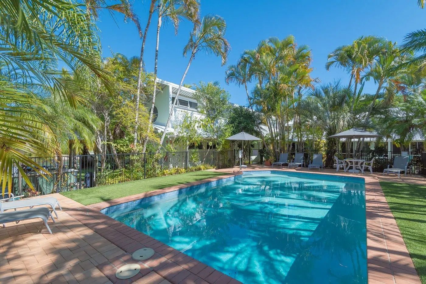 Outdoor Swimming Pool With Blue Water, Lounge Chairs, and Palm Trees — Mad Pool Interiors and Renovations in Baringa, QLD