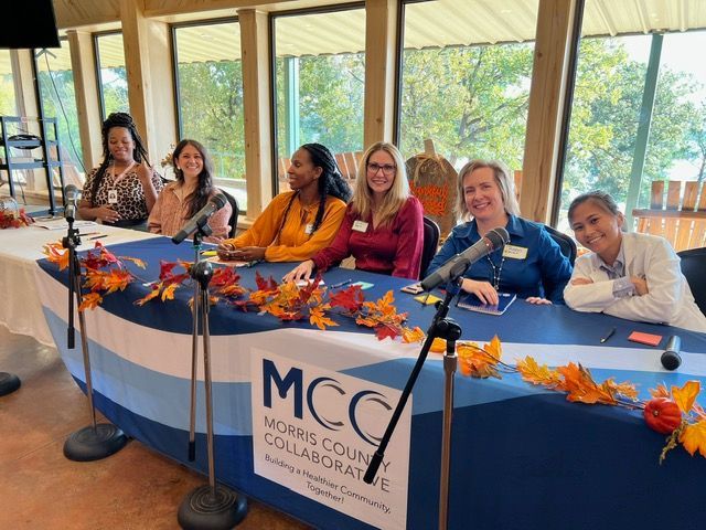 A group of women are sitting at a table with microphones.
