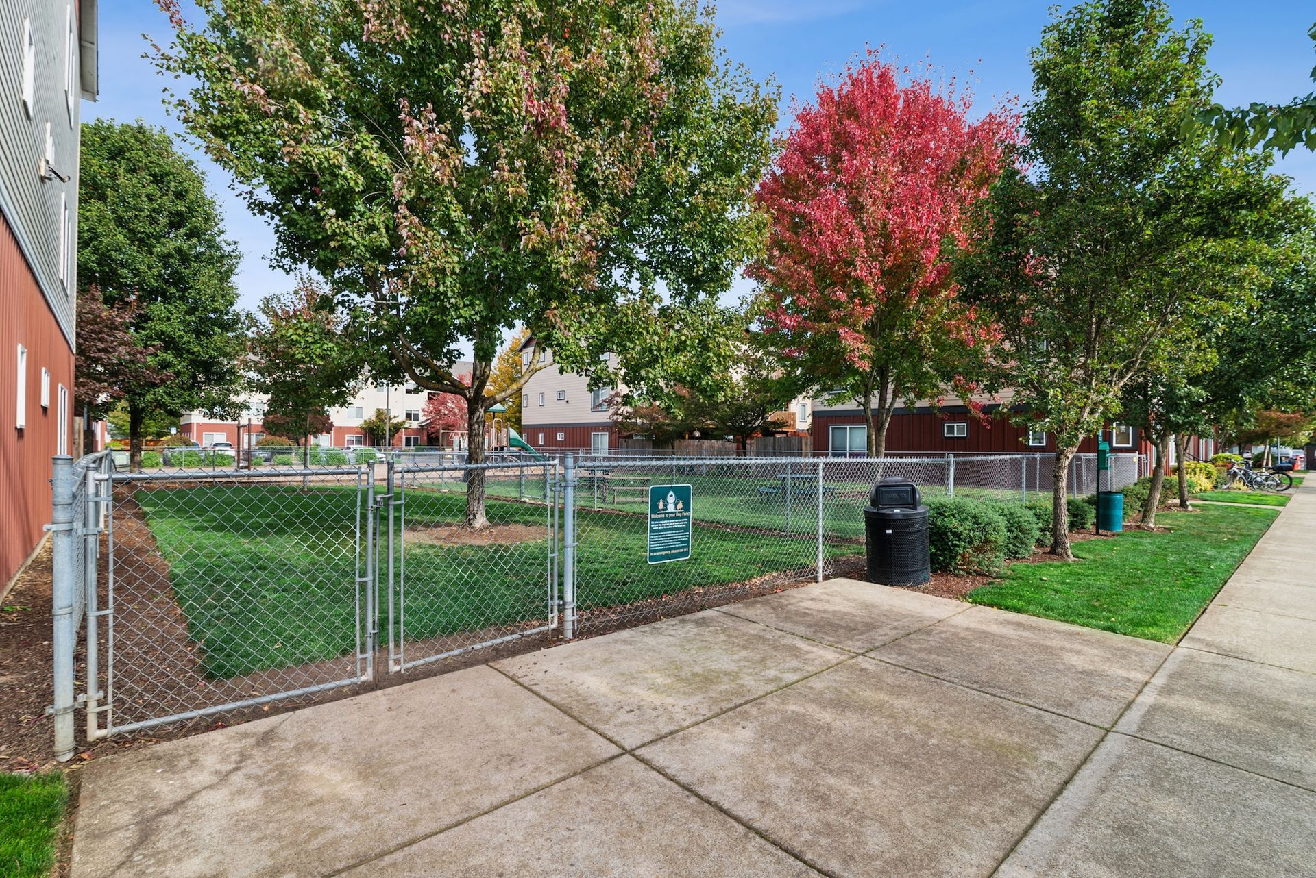 Dog park with a chain link fence, green grass, and trees with some red leaves.