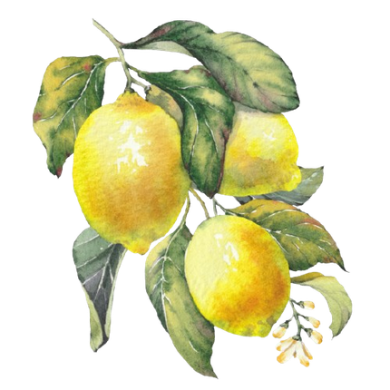 Icona Limoni