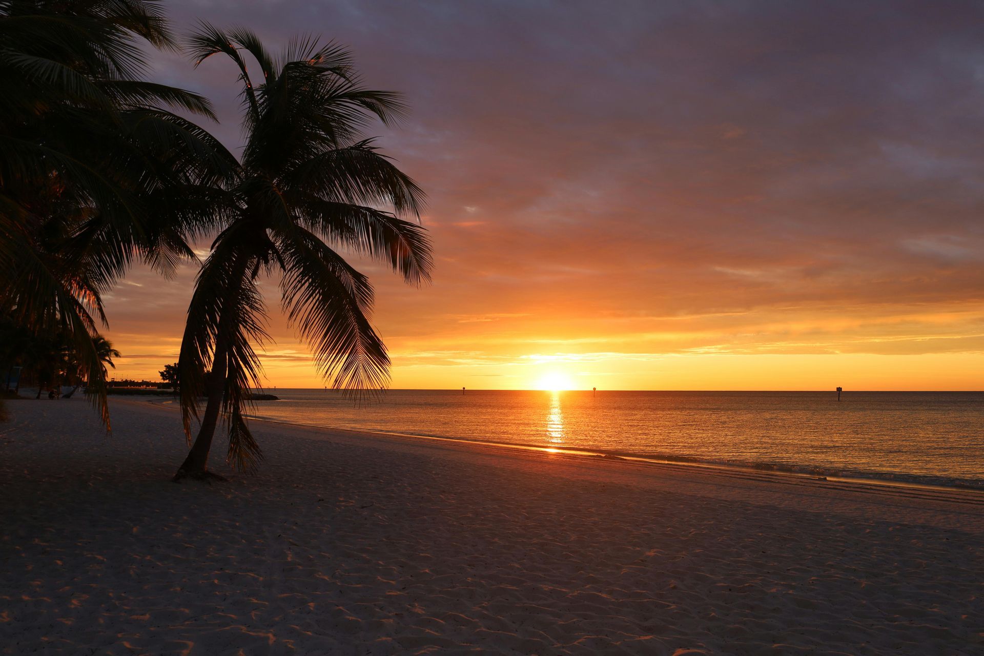 Custom Door Installers in Miami Sunset over ocean, palm trees silhouetted on beach. Orange and gold hues in the sky reflecting on water.