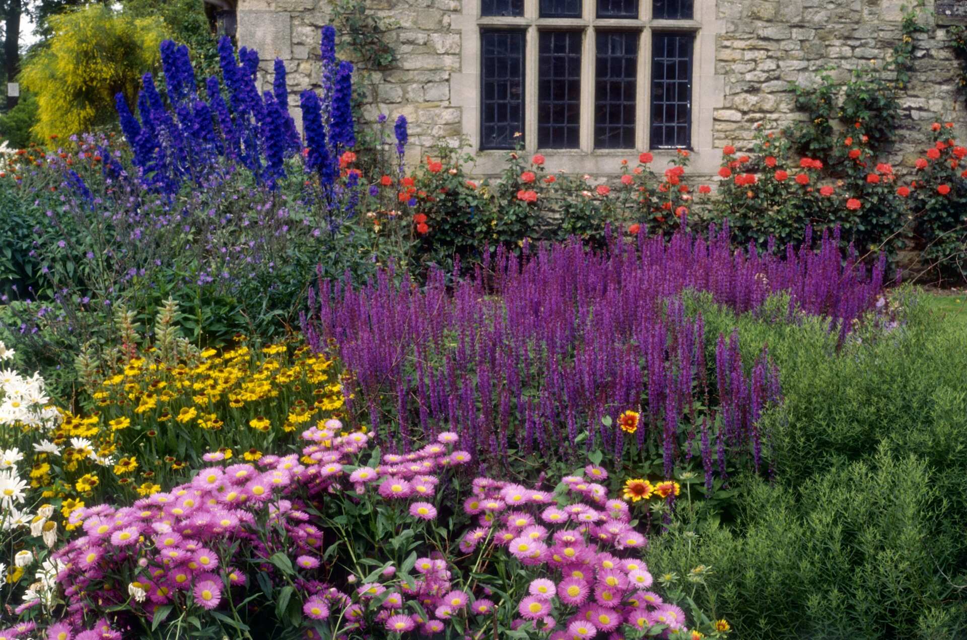 Choosing Flower Colors for Your Landscape Design
