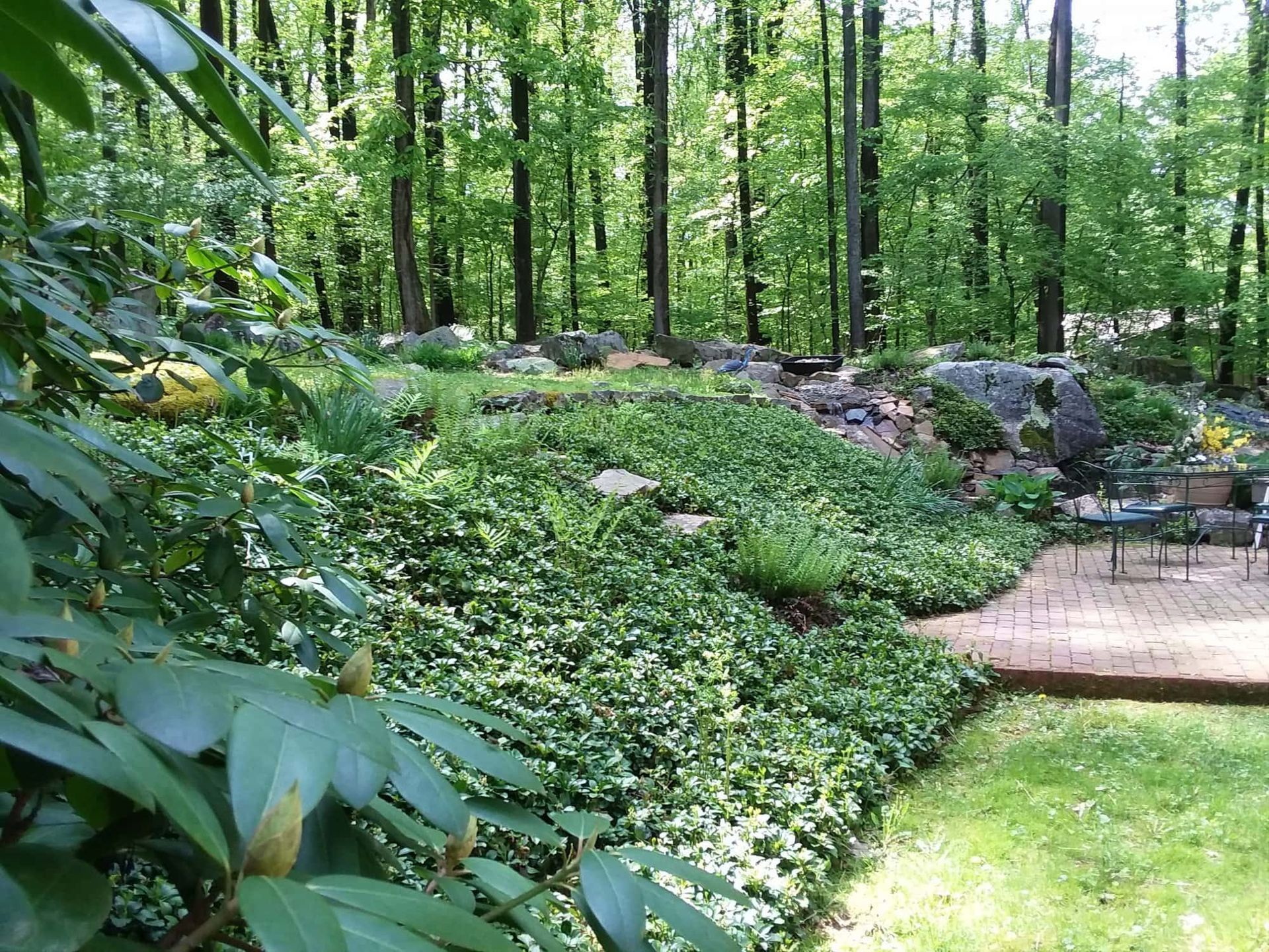 Creative Hillside Landscaping Solutions: 12 Best Groundcover Plant Options for Sloped Yards & Hills