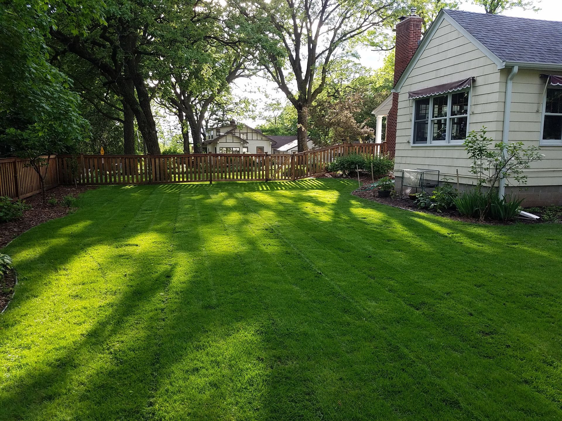 How to Manage Thatch in MN Lawns - Do I Need to Dethatch My Lawn in Minnesota?