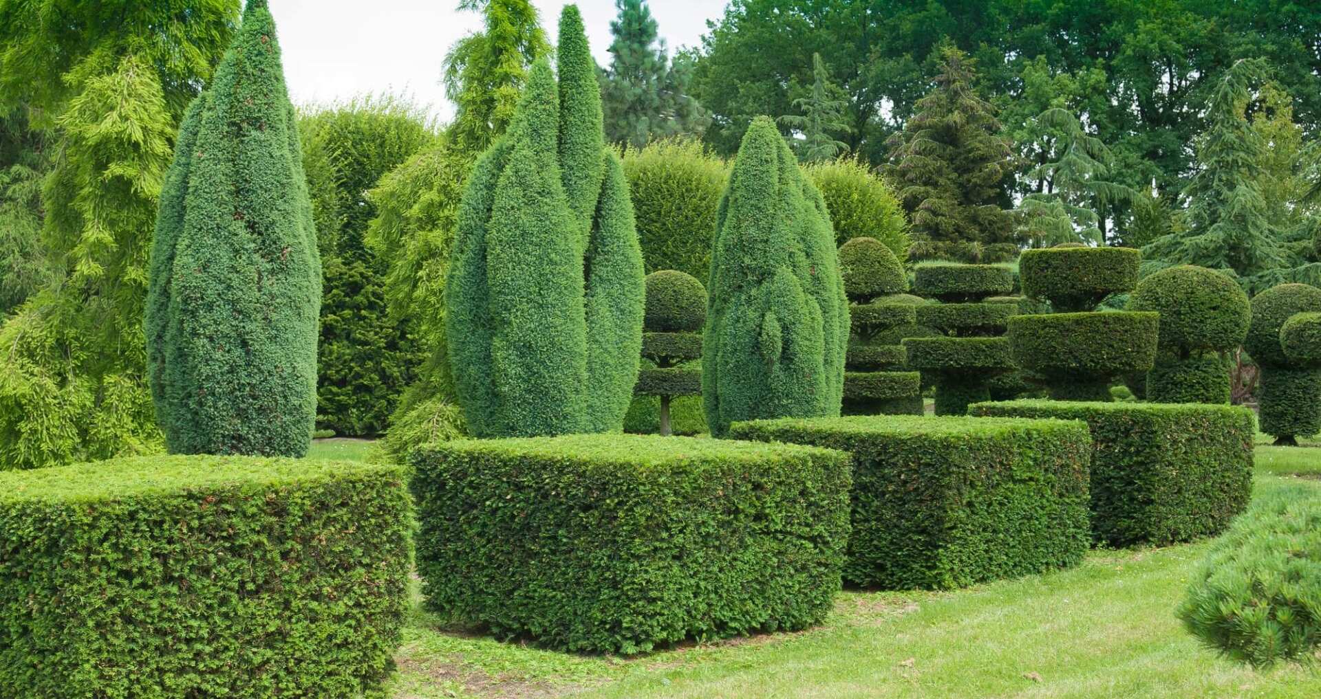 10 Inspiring Topiary Tree Gardens