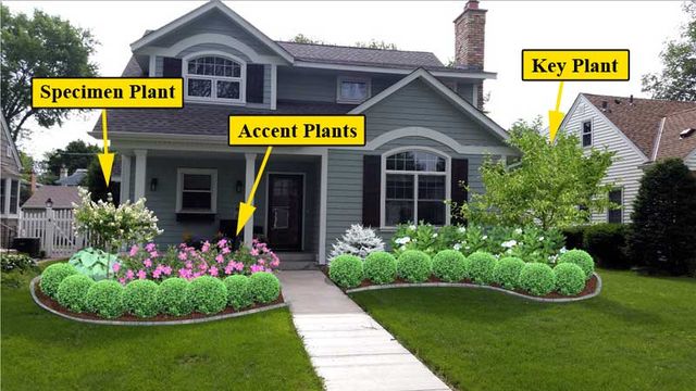Curb Appeal, Front Lawn Landscaping Plants