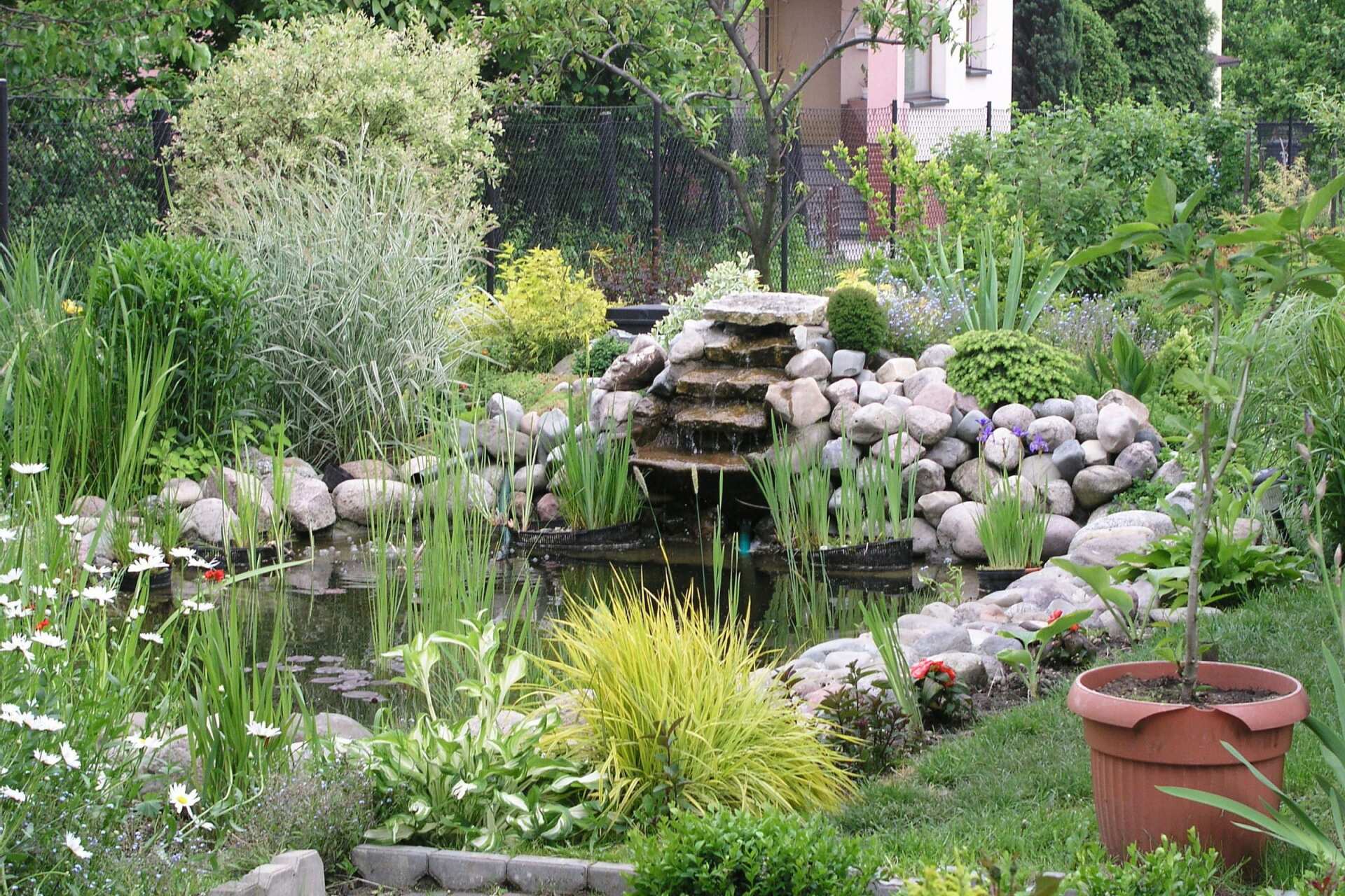 Different Types of Ponds for Your Property