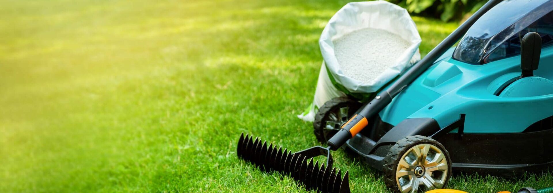 The Most Important Turf Grass Nutrients for Your Lawn