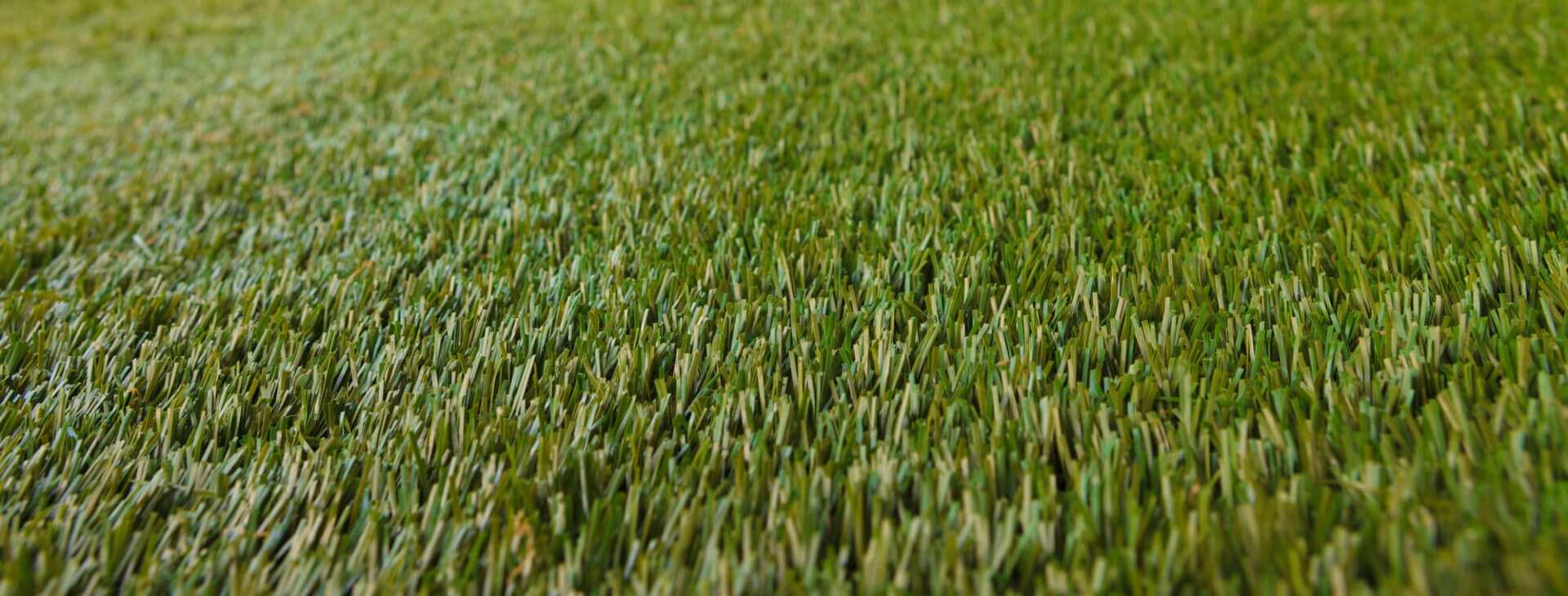 6 Myths about Minnesota Lawn Care
