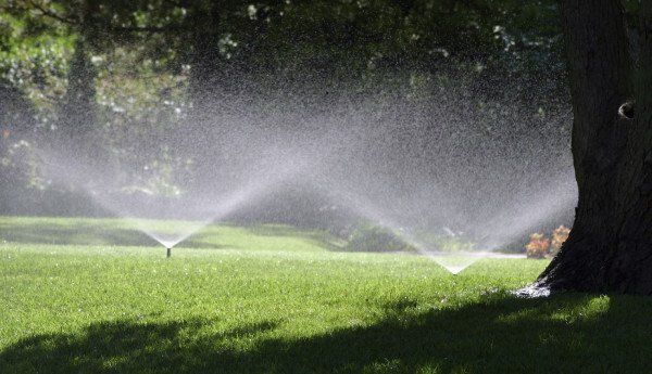 5 Minnesota Irrigation Myths Busted