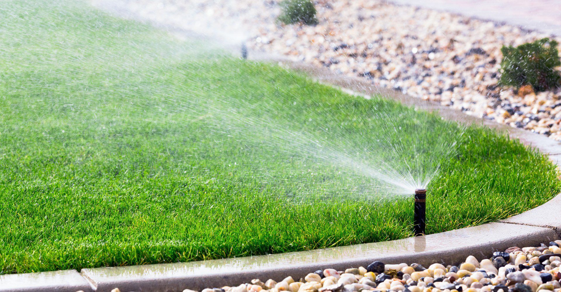 Using Rainwater in Your Irrigation System