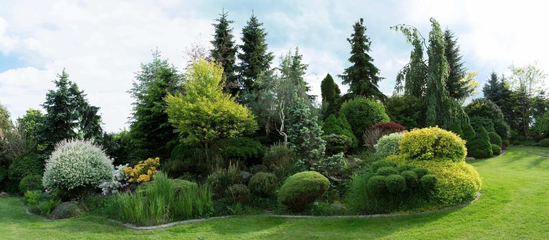 How To Create a Personal Forest Oasis in Your Yard