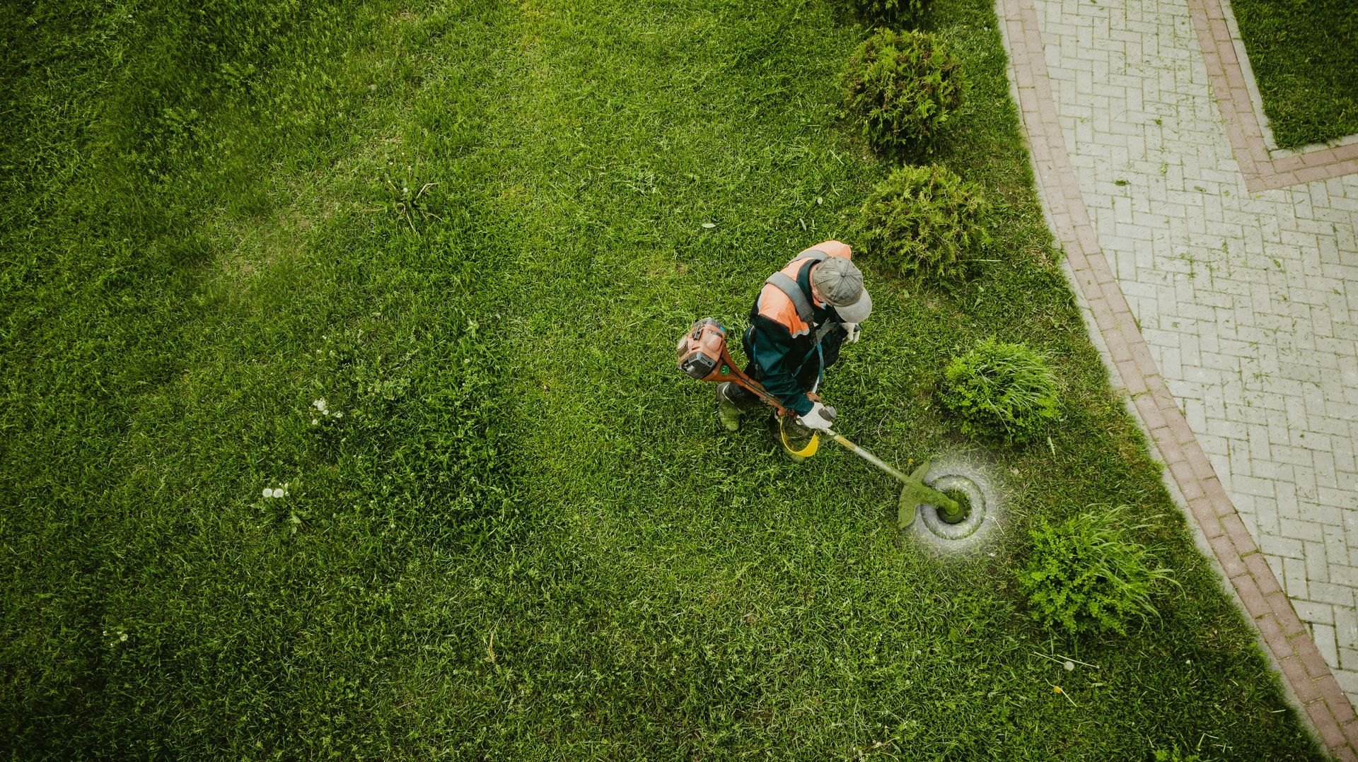 Lawn Care Tips From The Pros
