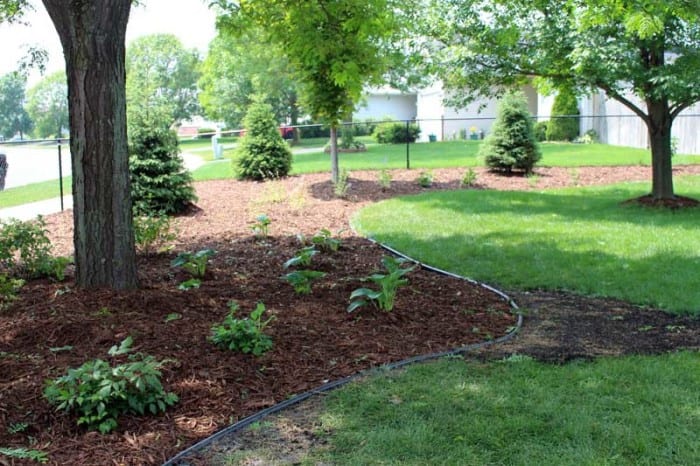 Choosing A Mulch Color For Your Plant Bed