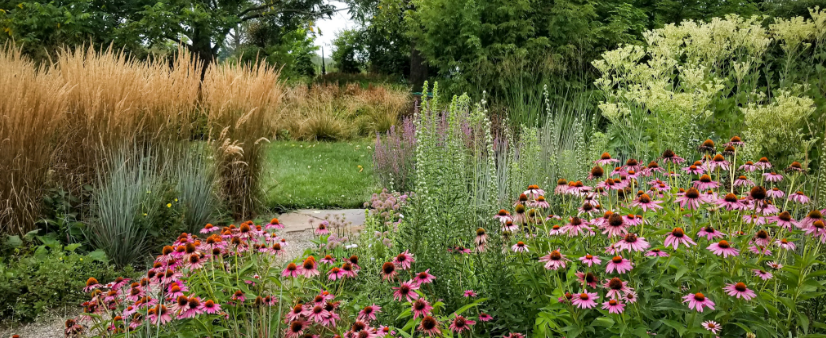 MN Pollinator Gardens and Bee Friendly Landscaping