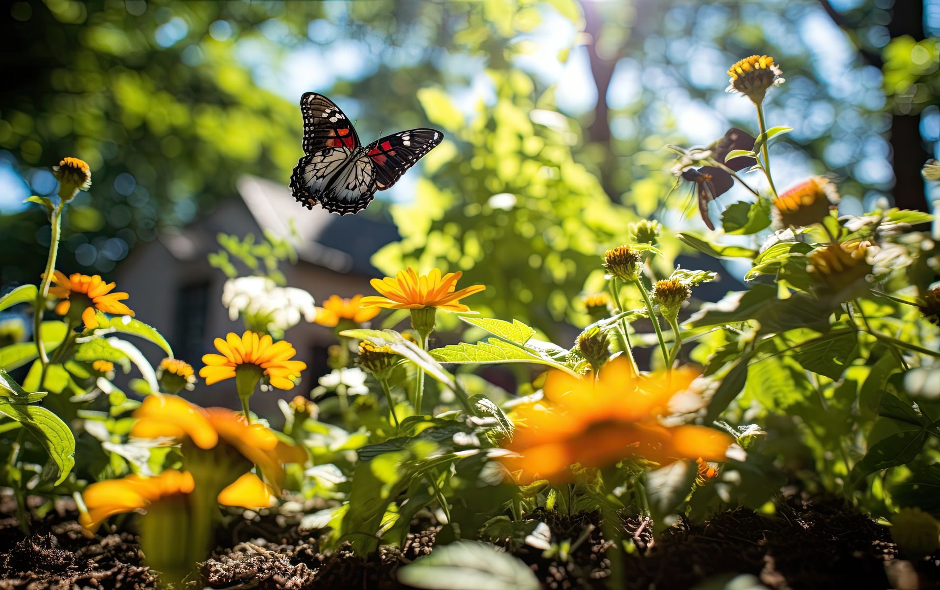 35 Native Pollinator Plants in Minnesota