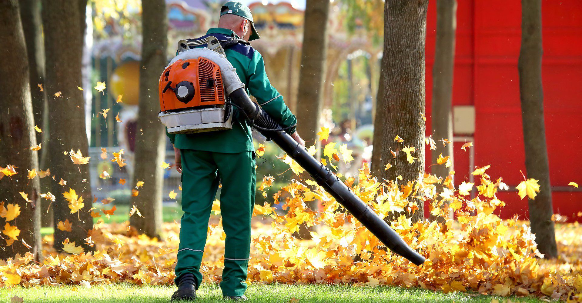 How Professional Fall Leaf Cleanup Can Help You