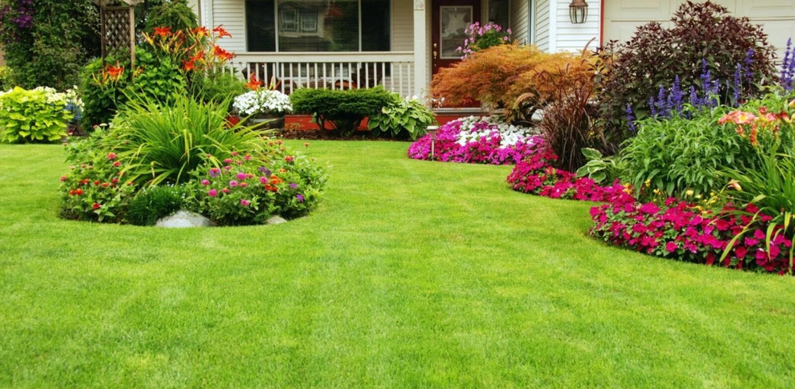 Spring Cleanup Guide for Lawns