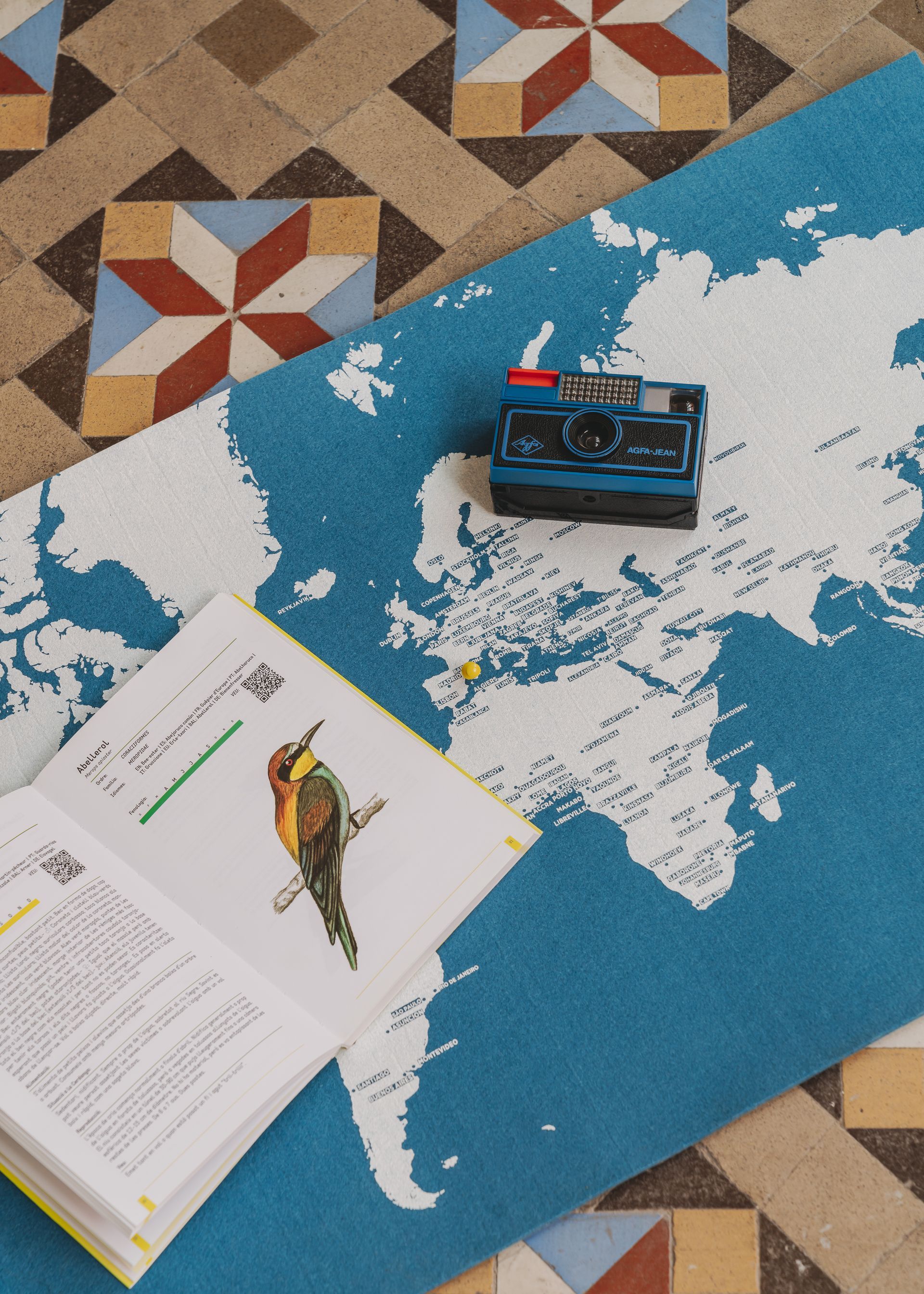 A map of the world is on the floor next to a book and a camera