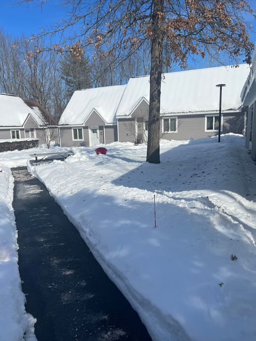 Snowy residential buildings with a cleared pathway, and a tree in the center.