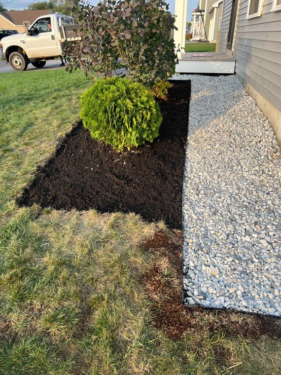 Garden bed with a green bush, black mulch, and white stone bordering a house.