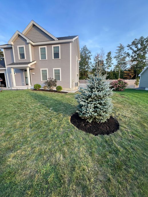 Gray house with blue spruce tree in front yard, surrounded by green grass and blue sky.