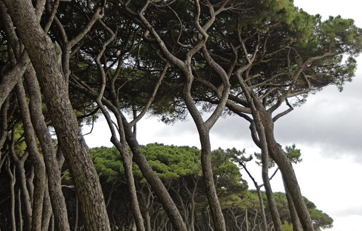 dintorni di Follonica e Grosseto