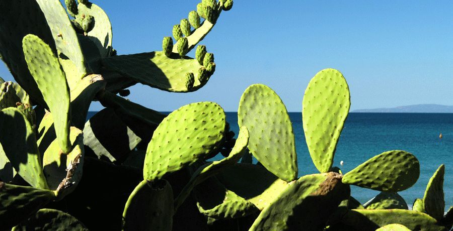 dintorni di Follonica e Grosseto