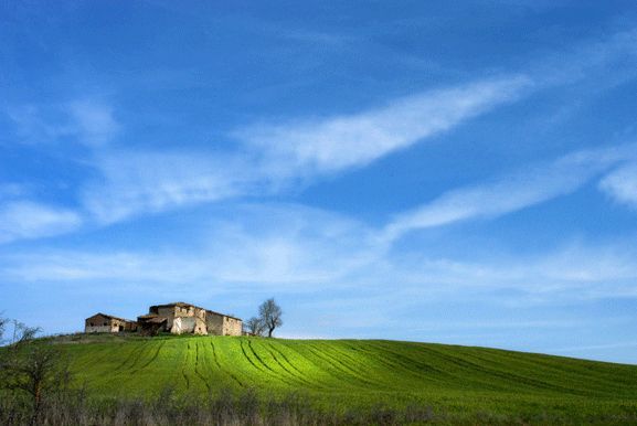 dintorni di Follonica e Grosseto