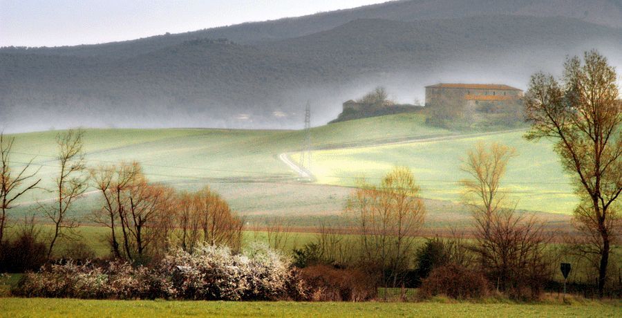 dintorni di Follonica e Grosseto