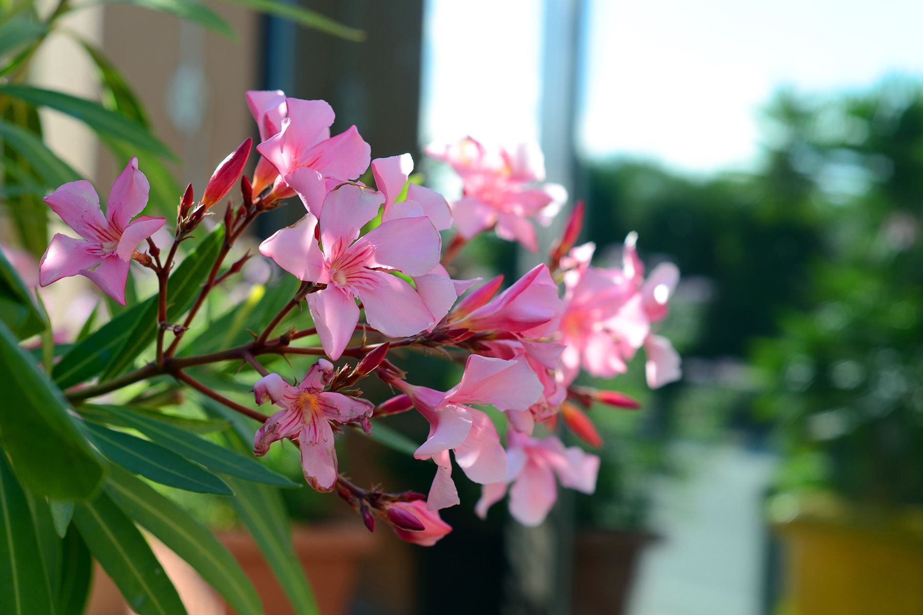 appartamento santa maria