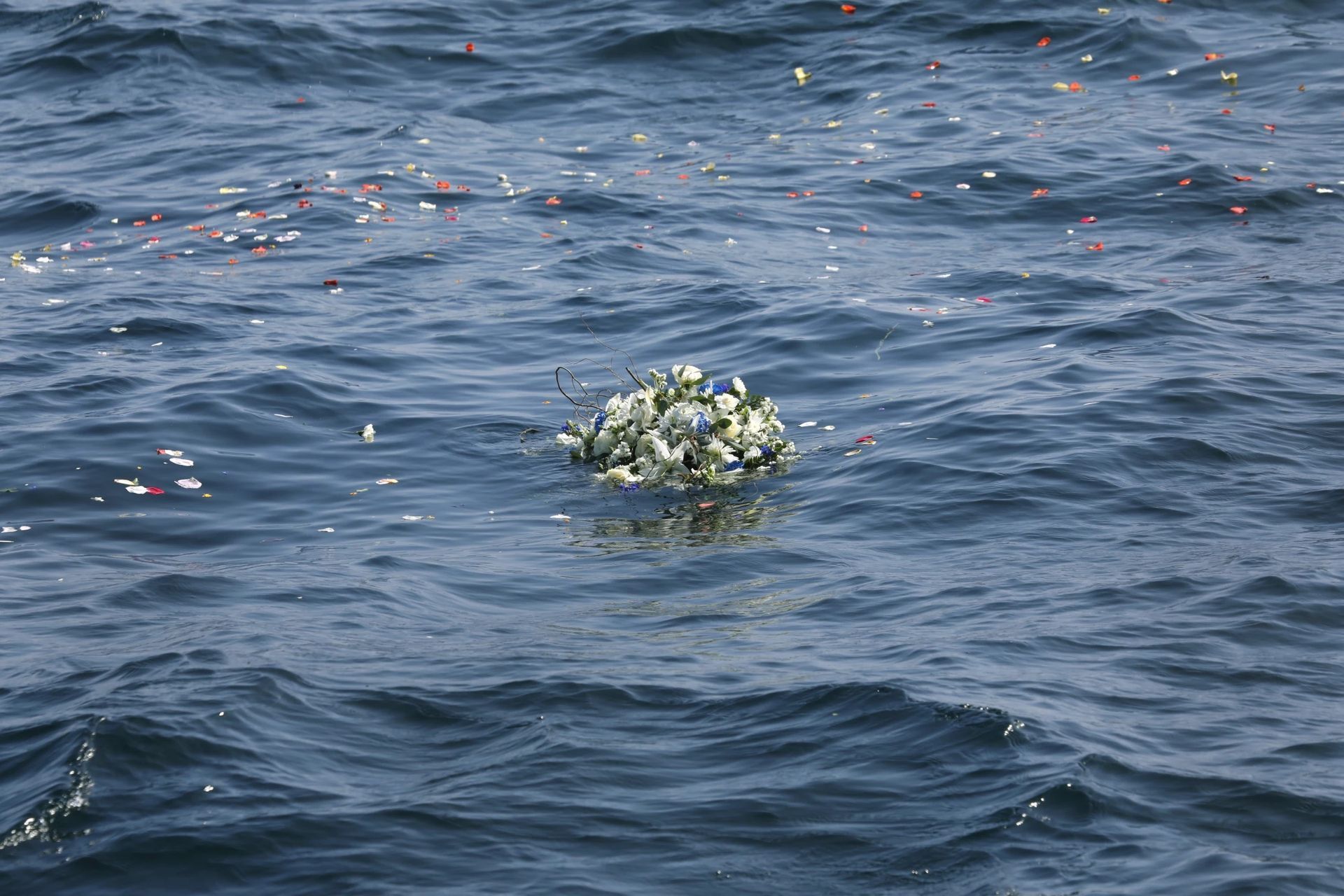 Flowers and rose petals float at the site where John Berol was buried at sea on April 1, 2022 (Carolyn Cole / Los Angeles Times)