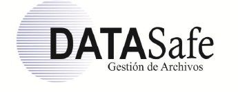 Data Safe Gestión de Archivos - Logo