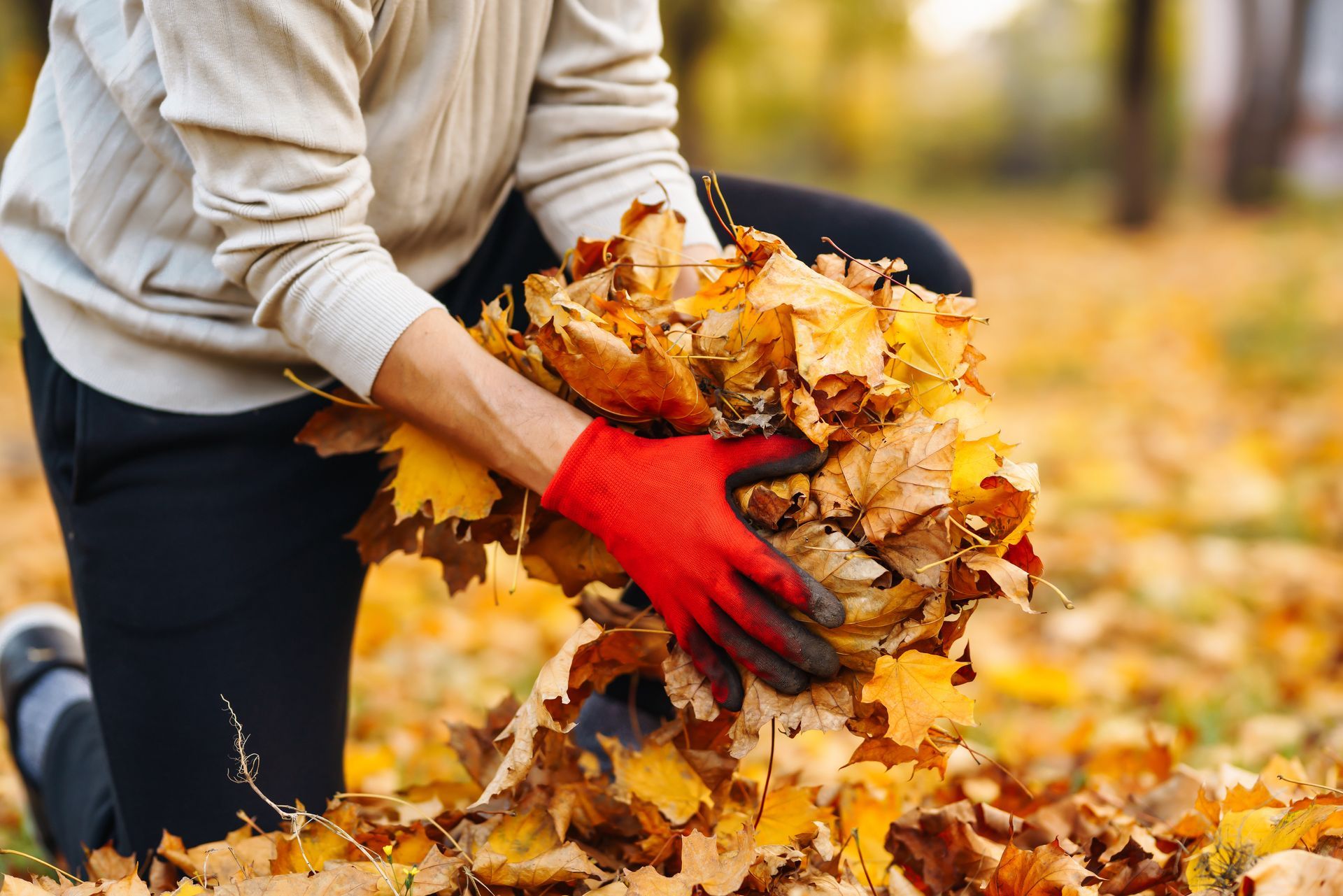 Hände sammeln Herbstlaub ein