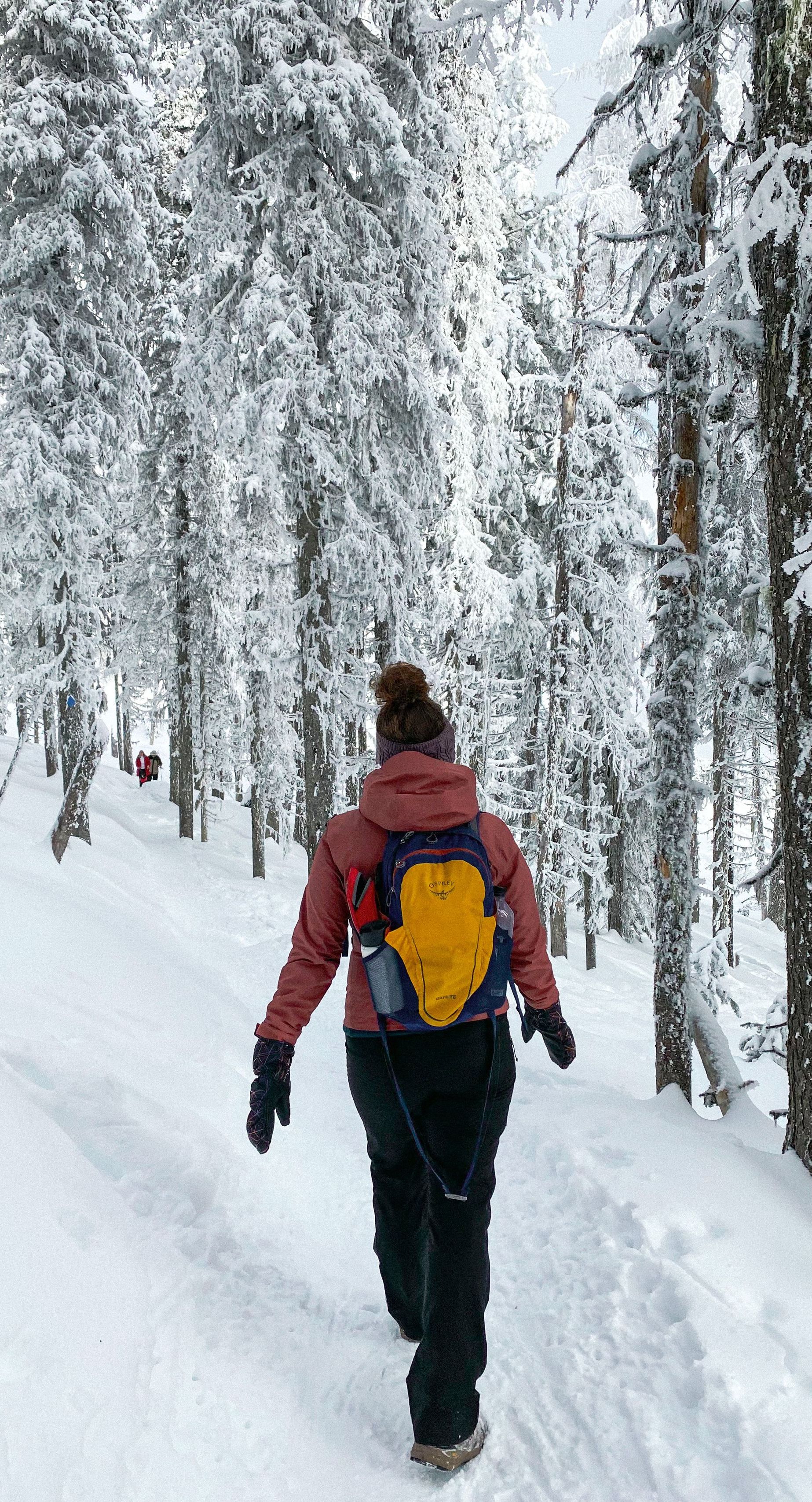 A person with a yellow backpack is walking through a snowy forest